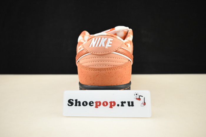 nike sb dunk low concepts orange lobster fd8776-800